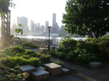 Trees in a city