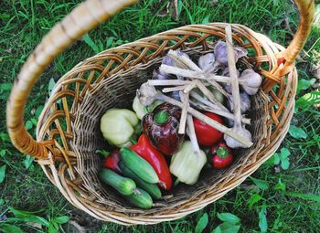High angle view of vegetables in basket