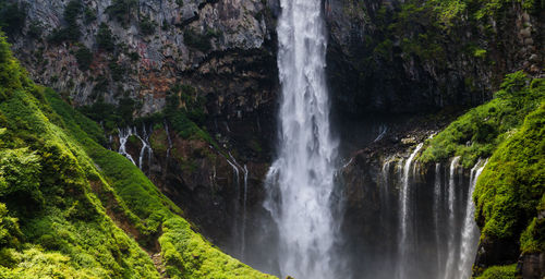 Scenic view of waterfall in forest