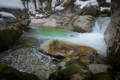 Scenic view of waterfall in forest