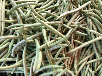 Full frame shot of eggs