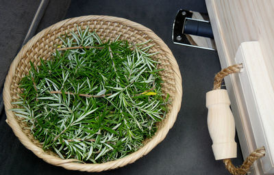 High angle view of vegetables in basket