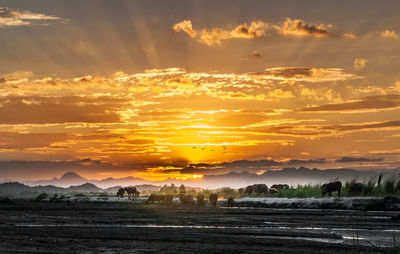 Scenic view of sunset over land