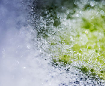 Close-up of bubbles in water