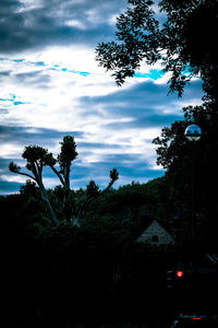 Silhouette trees by street against sky at dusk