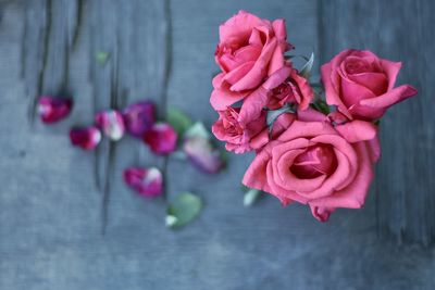 Close-up of pink flowers blooming outdoors