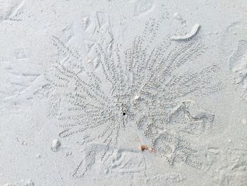 Full frame shot of snow on sand