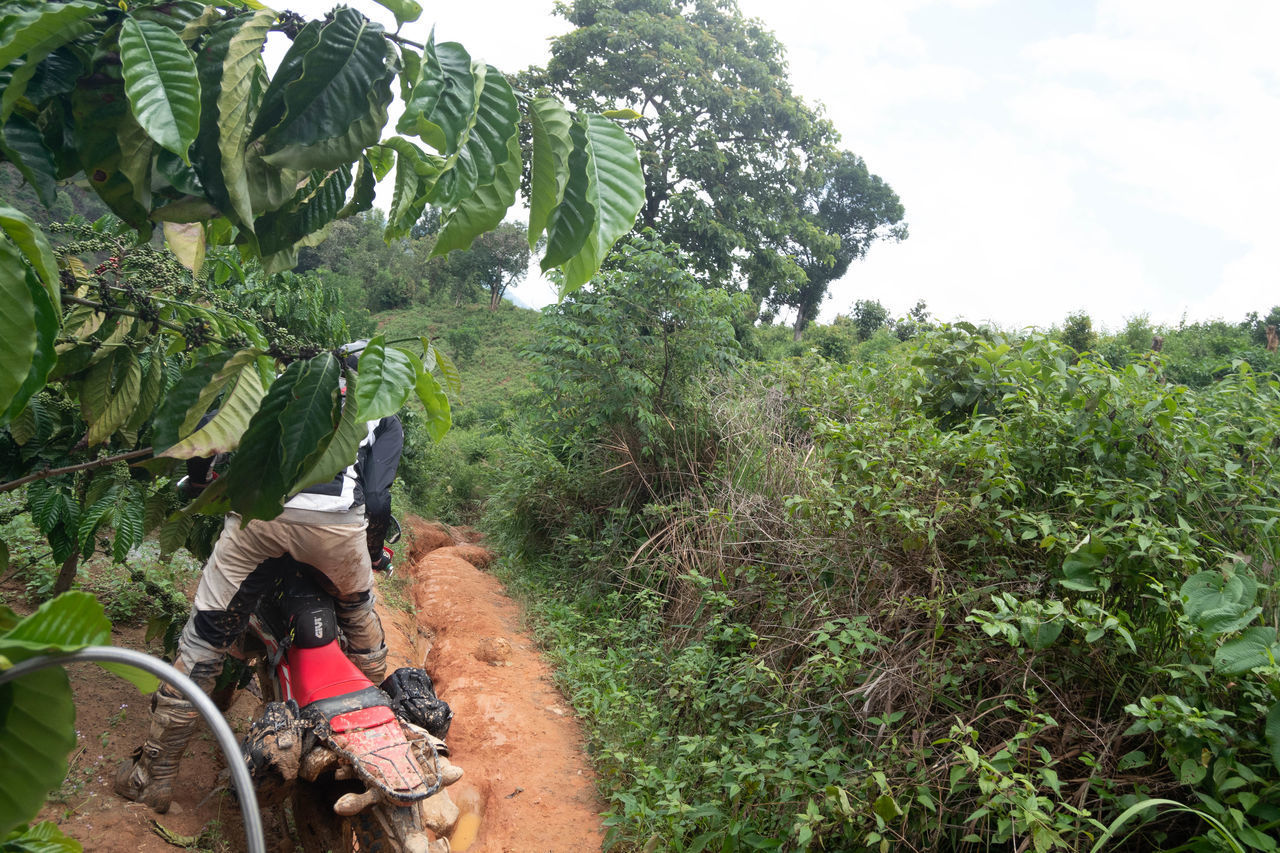 REAR VIEW OF MAN RIDING BICYCLE