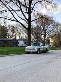 Cars on road by trees and buildings in city