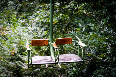 Seats against plants in park