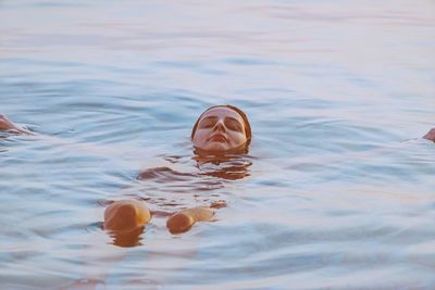 Close-up of jellyfish in swimming pool