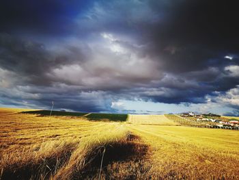 Scenic view of agricultural field against sky