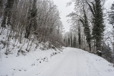 Snow covered road amidst trees during winter