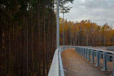 Road amidst trees in forest against sky during autumn