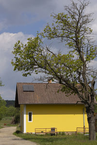 Tree and house on field against sky