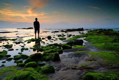 Rear view of silhouette man standing on beach against sky