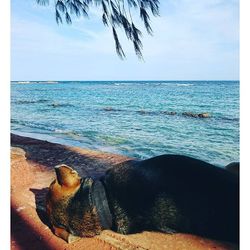 Scenic view of sea against sky