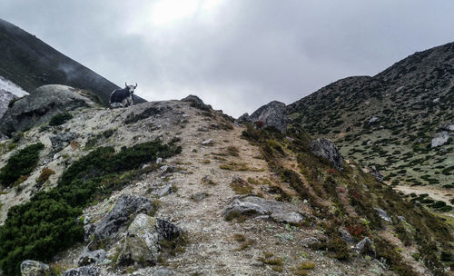 Scenic view of mountain against sky