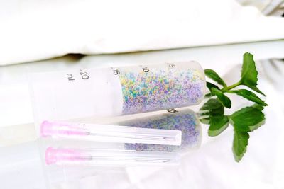 Close-up of potted plant on white table