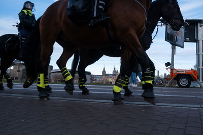 Group of people riding horses