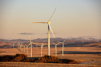 Wind turbines in a field with clear sky