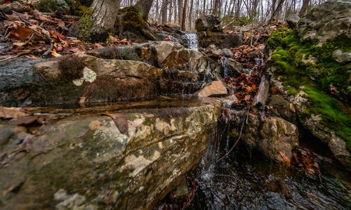 Stream flowing through rocks in forest