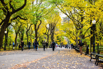 People walking in park during autumn