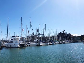 Sailboats in marina