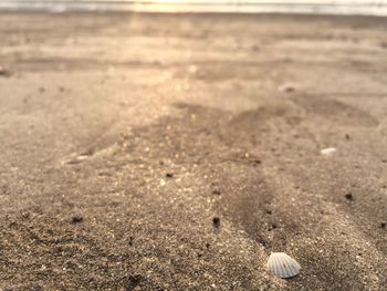 Close-up of sand on beach