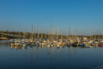 Sailboats in marina at harbor against clear sky