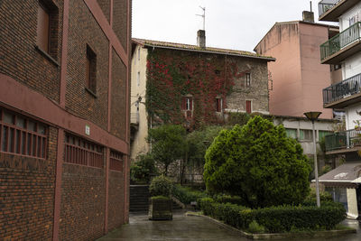 Trees and buildings in city against sky