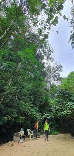 People walking on road amidst trees in forest against sky