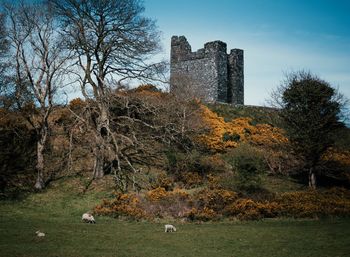 View of old ruin building against sky during autumn