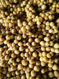 Close up langsat, one of the popular fruits in malaysia.