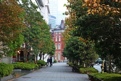 Footpath amidst trees and buildings in city