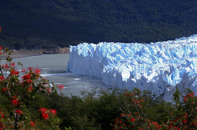 Scenic view of snow covered mountain