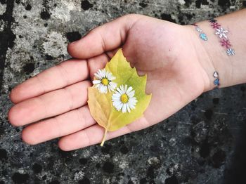 Close-up of hand holding flower