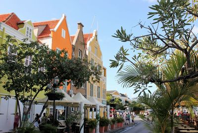 Street amidst houses and trees against sky