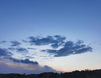 Low angle view of silhouette trees against sky during sunset