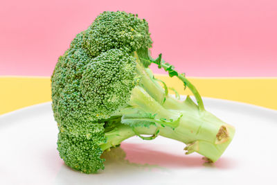 Close-up of broccoli in plate