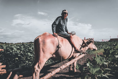 Person riding horse