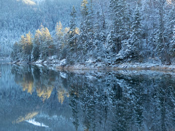 Full frame shot of frozen lake