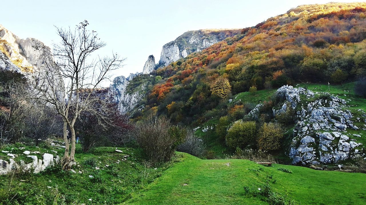 mountain, grass, tranquil scene, tranquility, beauty in nature, scenics, clear sky, landscape, nature, green color, water, sky, tree, non-urban scene, mountain range, grassy, idyllic, growth, countryside, day