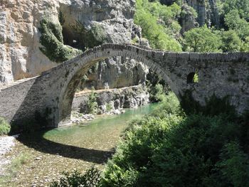 Arch bridge amidst trees