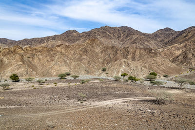 Panoramic view of dry mountains located in the ras al khaimah emirates, united arab emirates, uae