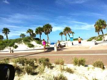 View of palm trees by sea