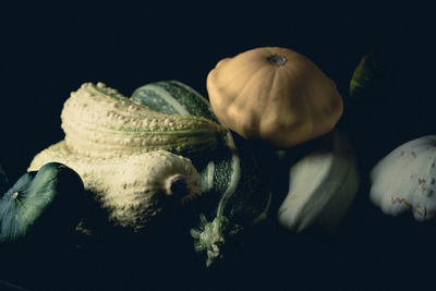 Close-up of pumpkin