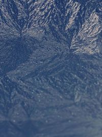 Full frame shot of frozen tree