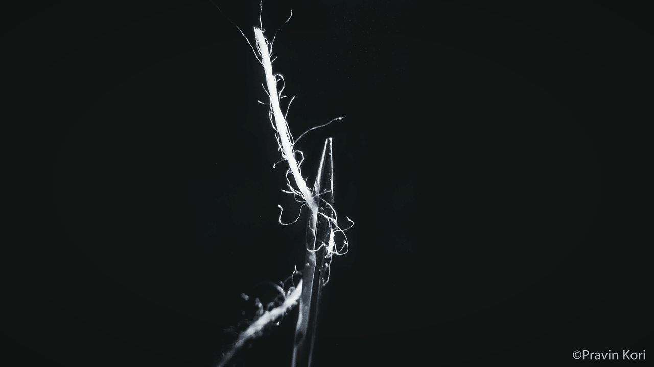 CLOSE-UP OF LAMP OVER BLACK BACKGROUND