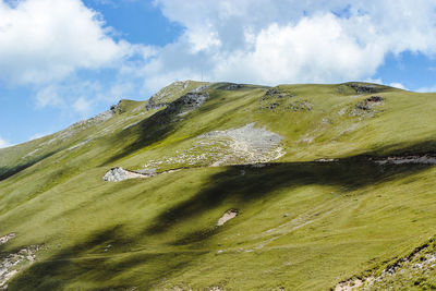 environment